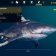 Image for article titled Maneater: The Kotaku Review